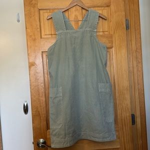 Everlane Cotton Apron Aqua Dress L